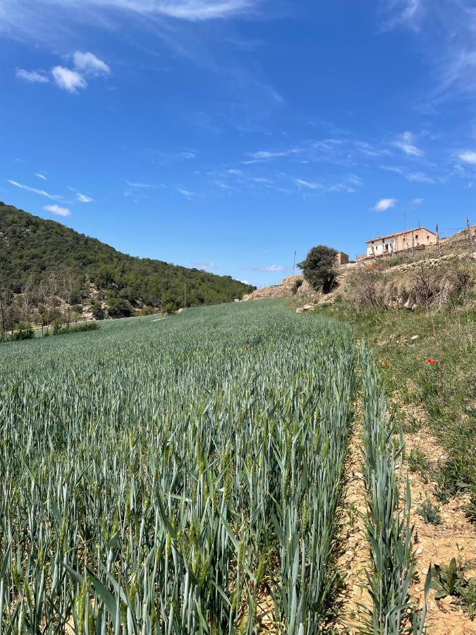 Masia La Perera Morella Extérieur photo
